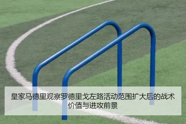 皇家马德里观察罗德里戈左路活动范围扩大后的战术价值与进攻前景